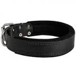 Felt Padded Leather Collar for Agitation Training and Walking