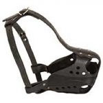 Hard Work Felt Padded Leather Dogs Muzzle