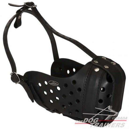 Adjustable Leather Agitation Training Dog Muzzle - Click Image to Close
