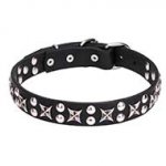 Posh Leather Dog Collar "Planets and Stars" with Chrome Plated Fittings 1 1/5 inch (30 mm) Wide