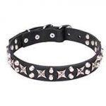 Fantastic Leather Dog Collar with Chrome Plated Hardware "Shining Stars" 1 1/5 inch (30 mm) Wide