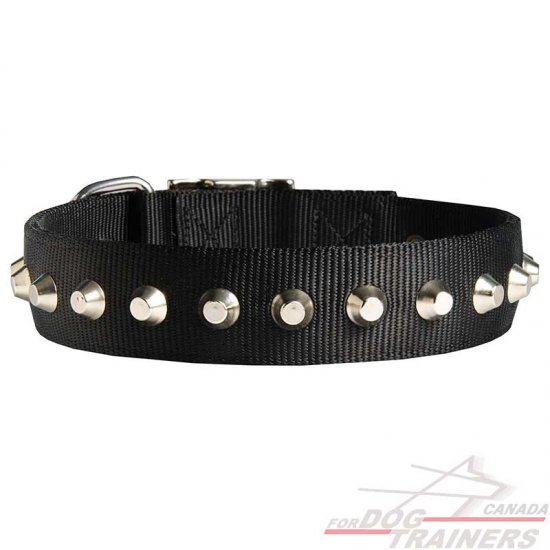 Fashion Nylon Dog Collar with Nickel Pyramids for Everyday Walking