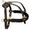 Durable Leather Dog Harness With Padded Chest Strap