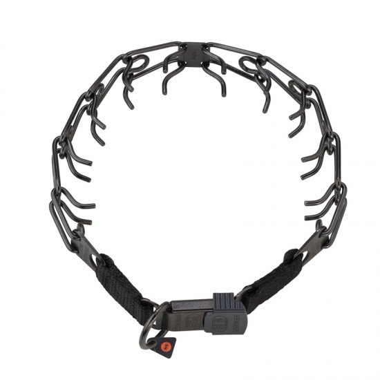 Puppy pinch collar shop