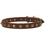 Leather Dog Collar with Dotted Studs for Walking and Training