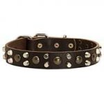 Elegant Leather Dog Collar with Studs and Pyramids