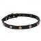"Sunny Beams" 4/5 Inch (20 mm) wide Leather Dog Collar with Engraved Brass Studs