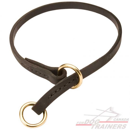 Unusual Leather Dog Collar For Training