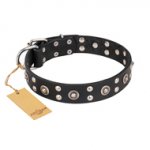 "Refined Essence" FDT Artisan Black Leather dog Collar with Silvery Studs
