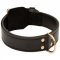 Agitation / Attack Training 2ply Leather Dog Collar