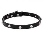"Beauty & Elegance" Leather Dog Collar Adorned with Chrome Plated Pyramids - 4/5 inch (20 mm) wide