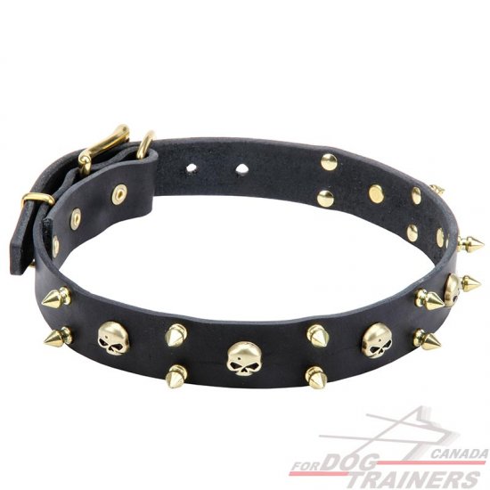 Black spiked dog collar clearance