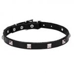 "A La Mode" 4/5 Inch (20 mm) wide Leather Dog Collar with Chrome Plated Pyramids