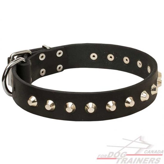 Fashion Leather Dog Collar with Nickel Pyramids for Daily Walks