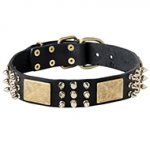 War Leather Dog Collar with Plates, Spikes and Cones