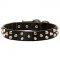 Studded Leather Dog Collar Walking and Training