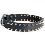 Great Decorated Leather Collar To Treat Your Doggy With Style