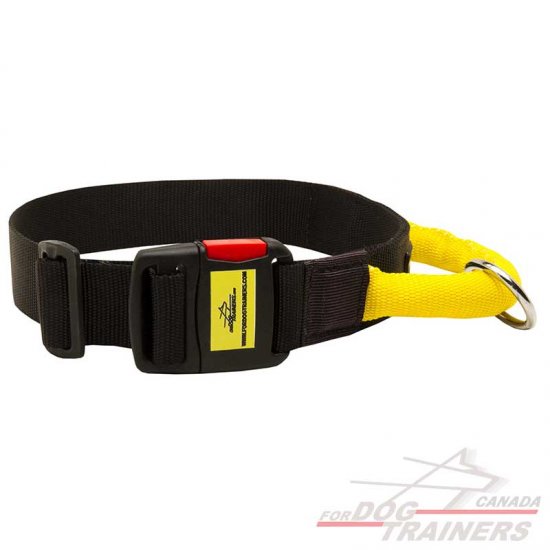 Any Weather Nylon Walking and Training Dog Collar with Handle