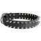 Great Decorated Leather Collar To Treat Your Doggy With Style