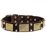 Exclusive Leather Dog Collar with Large Plates and Pyramids