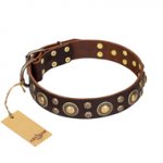 'Flower Melody' FDT Artisan Brown Leather Dog Collar with Mixed Studs for Everyday Use