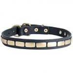 Fashion Leather Dog Collar With Shiny Plates