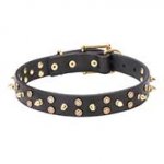 "Space Travel" Leather Dog Collar with Brass Stars and Spikes 1 1/5 inch (30 mm)