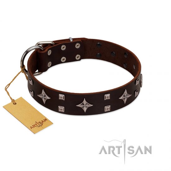 "Trendy Candy" FDT Artisan Brown Leather dog Collar Adorned with Stars and Tiny Squares - Click Image to Close