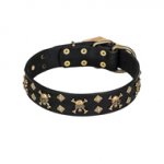 'Jolly Rojer' FDT Artisan Leather Dog Collar with Pirate Skulls and Studs