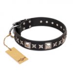 'Space Walk' FDT Artisan Astonishing Black Leather Dog Collar with Beautiful Adornments