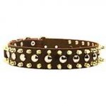 Classy Leather Dog Collar with Silverish Studs and Goldish Spikes