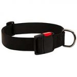 All Weather Walking Nylon Dog Collar with Quick Release Buckle