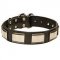 Awesome Leather Dog Collar Adorned with Large Brass Plates
