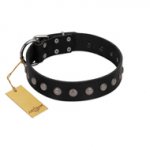 "Silver Flower" Exclusive FDT Artisan Black Leather dog Collar with Silver-Like Studs