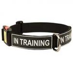 Any Weather Nylon Dog Collar with ID Patches and Quick Release Buckle