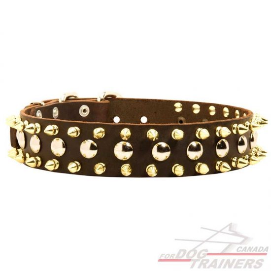 Classy Leather Dog Collar with Silverish Studs and Goldish Spikes