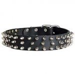 Fashion Leather Dog Collar wth Nickel Spikes for Everyday Walking