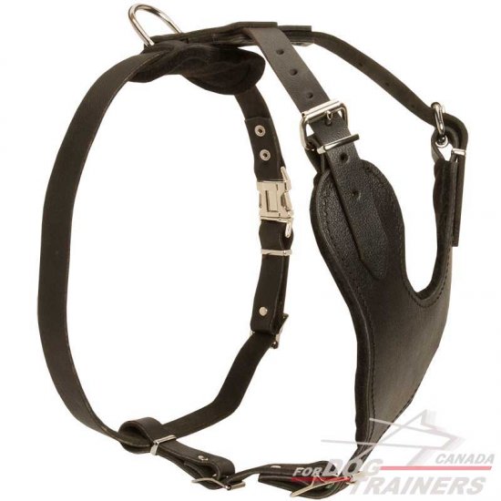 Professional Heavy Duty Training Leather Dog Harness with Padded Chest Plate