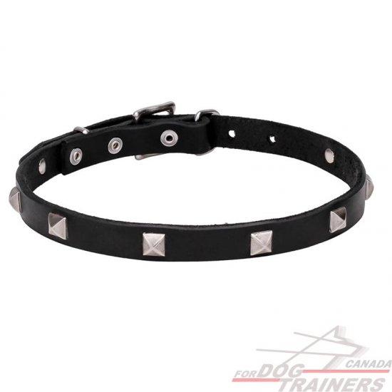 "A La Mode" 4/5 Inch (20 mm) wide Leather Dog Collar with Chrome Plated Pyramids