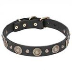 Leather Dog Collar "Magic Necklace" with Brass Circles and Studs - 1 1/5 inch (30 mm)