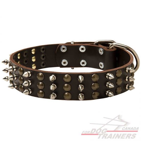Designer Spiked Studded Leather Dog Collar