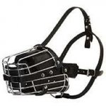 Wire Cage Dog Muzzle with Overall Padding