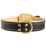 Walking and Training Nappa Leather Dog Collar