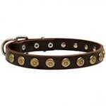 Decorated Leather Dog Collar For Stylish Walking