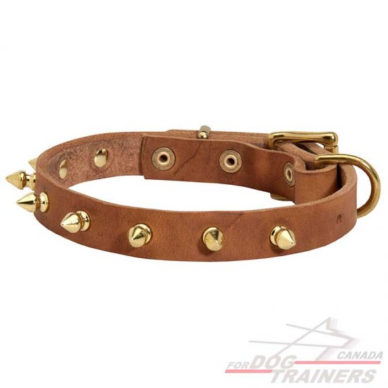 Walking Leather Dog Collar Equipped With Gold-Like Decoration