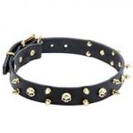 'Heavy Metal' Leather Dog Collar with Spikes and Skulls - 1 1/5 inch (30 mm)
