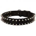 Water resistant Nylon Dog Collar With Spikes