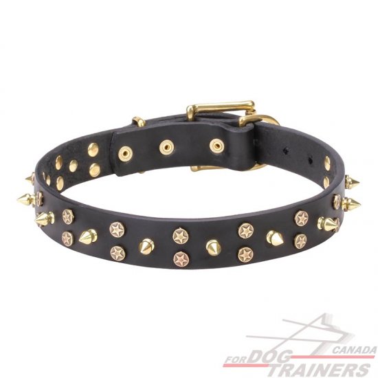 "Space Travel" Leather Dog Collar with Brass Stars and Spikes 1 1/5 inch (30 mm)