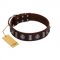 "Spiky Way" FDT Artisan Brown Leather dog Collar with Silver-Like Decorations