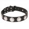 Wide Leather Dog Collar with Chrome Plated Circles - "Maya Indians"